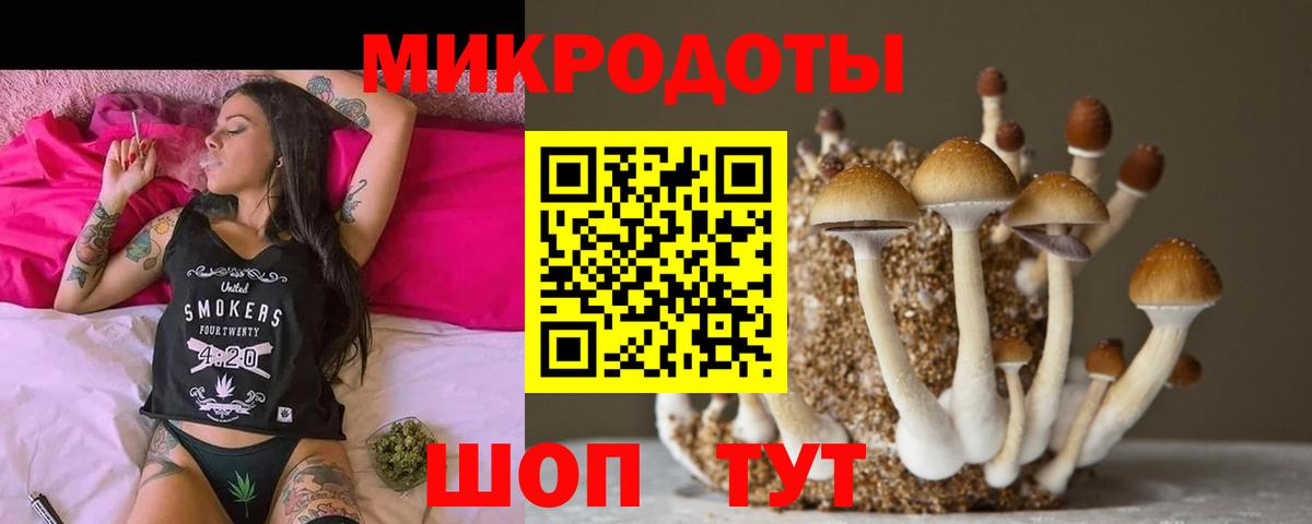 Владикавказ  Галлюциногенные грибы GOLDEN TEACHER  Вход с VPN 
